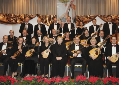 Mandolinenorchester Falkenstein.JPG